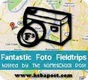 fantastic fieldtrip button