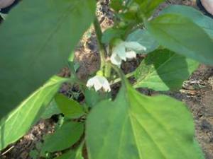 374973_464342963647561_1237583955_n