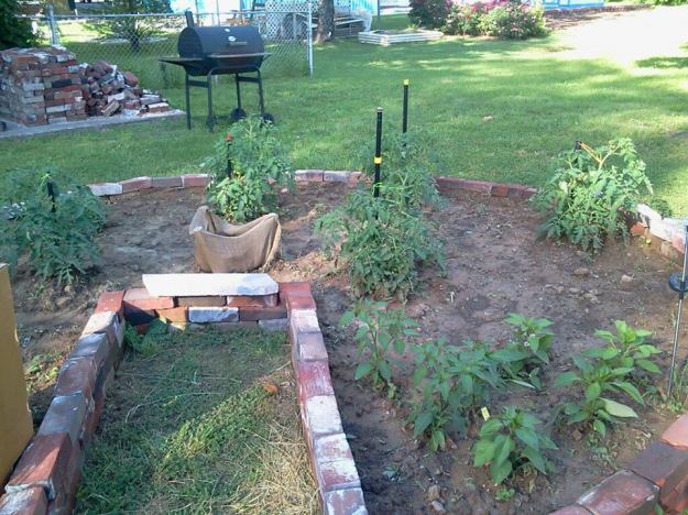 580344_464341090314415_1749948604_n