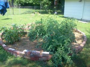 1014286_473852662696591_1970825571_n