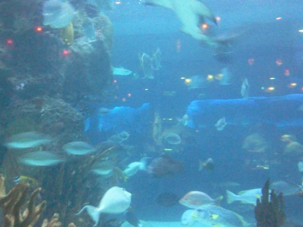 10551_473571506058040_2097177791_n