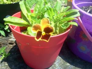 10576_473852712696586_1386058004_n