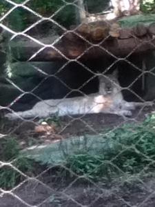 7210_432780280152545_685327926_n