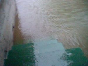 7252_468262253255632_1478344999_n