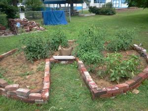 945612_470715019677022_716647464_n