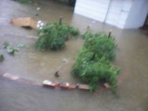 972020_532695726788562_1251817401_n