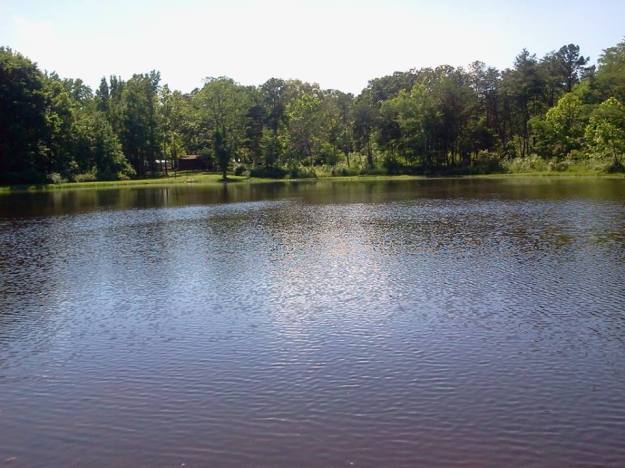 999258_473571866058004_1869362813_n