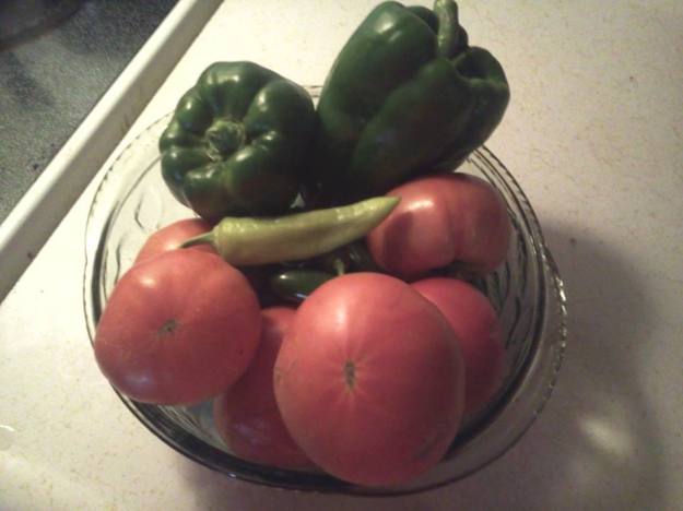 1002284_483450345070156_475691385_n