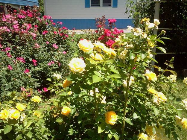 155396_485942238154300_890615604_n