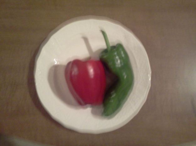 1003776_498910503524140_136900101_n