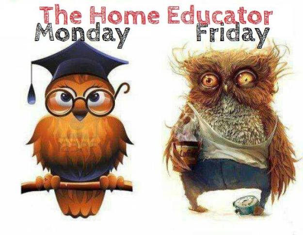 1377407_210924765750602_1326144750_n