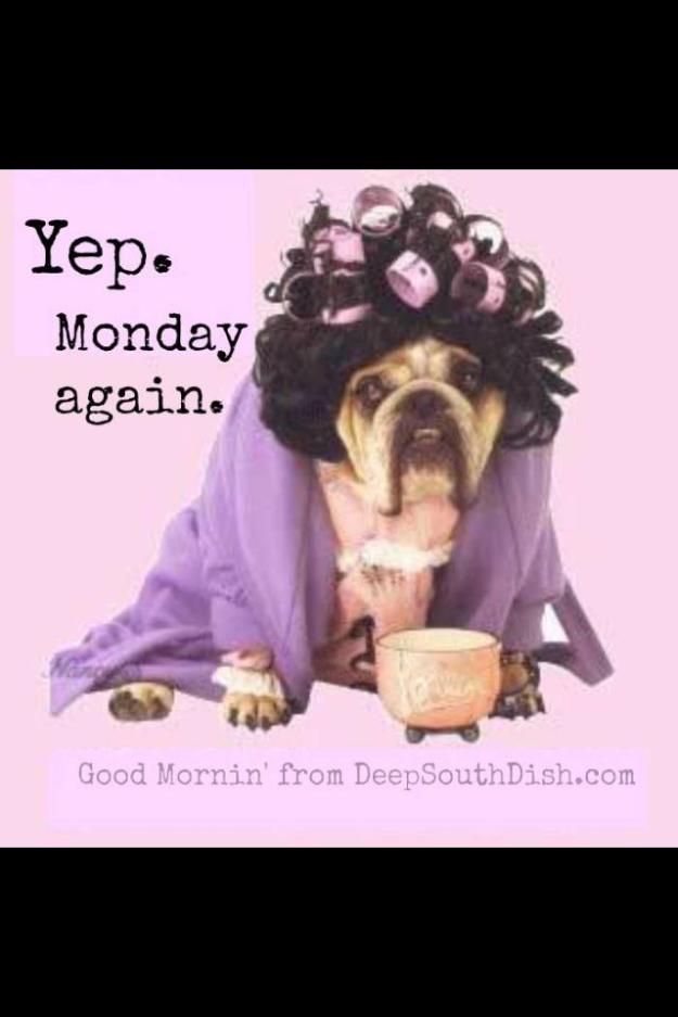 1385142_10200709052832606_2076570900_n