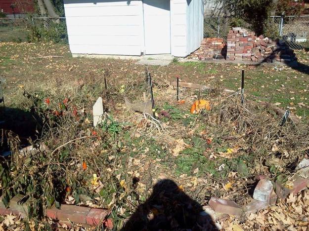 1463662_544762318938958_971227479_n