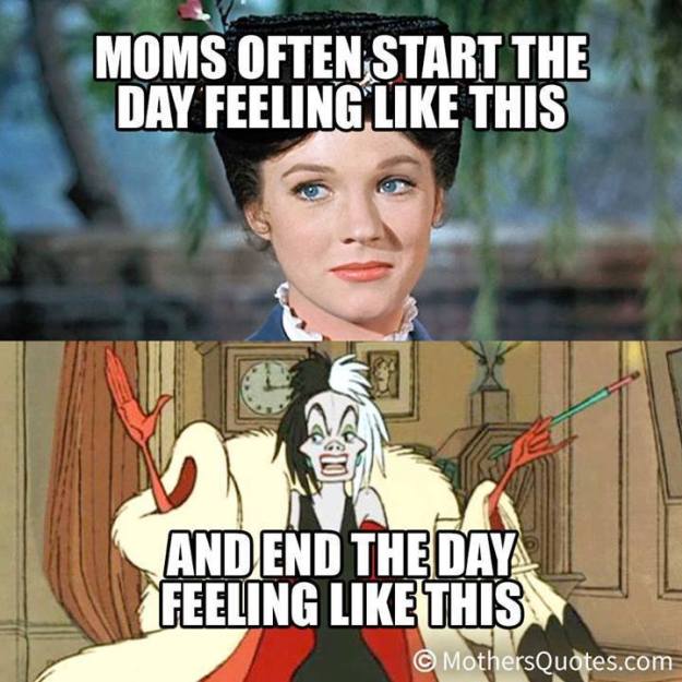 1458424_627443857312854_1558968153_n