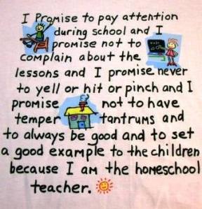 1506902_636159563116439_85778904_n