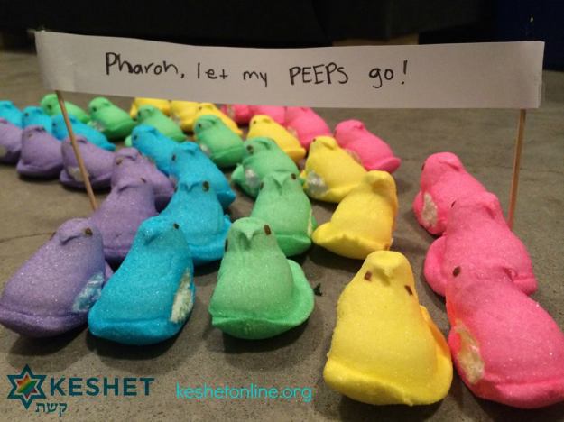 10151229_10152232869909123_4783665281254733785_n