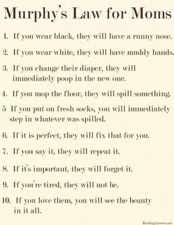 1009879_555128174558561_1900164613_n