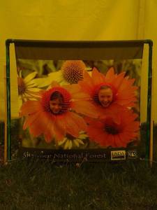 1908274_304025009747445_5766480855971460790_n