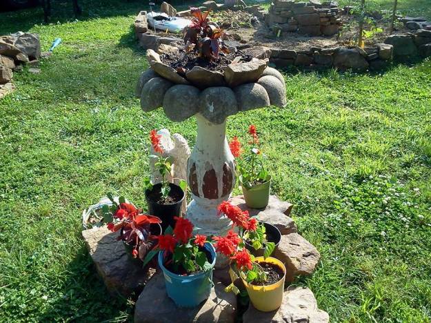 1920199_636762126405643_399865237555379097_n