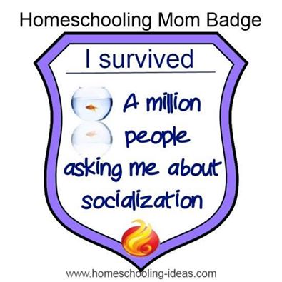 10339549_686173461437687_2915027448388344488_n