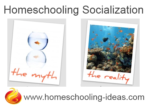 homeschool-socialization-myth-reality