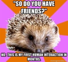 4a171fd254bd2e8b834adb4e2408abdc