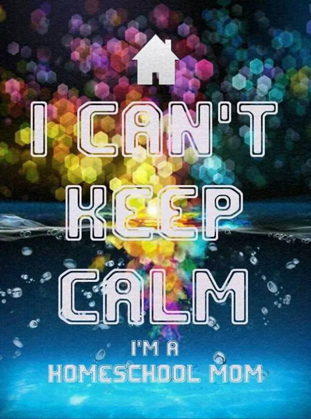 995632_10205076766145729_417351863530033147_n