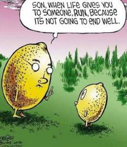 968859_10151511209316345_352662432_n