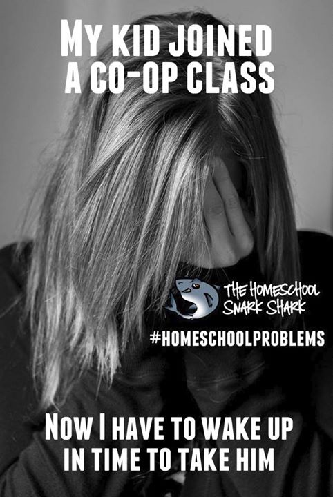 1920008_334398593433878_8359552963828330325_n