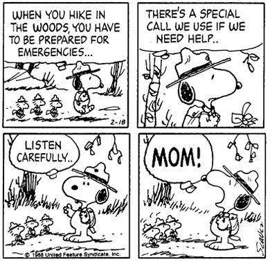 1391915_602056726525933_498057773_n