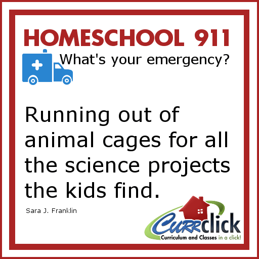 13830_10153247900713889_249958859638722377_n