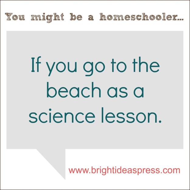 11036485_862569480455430_3766976441163099133_n