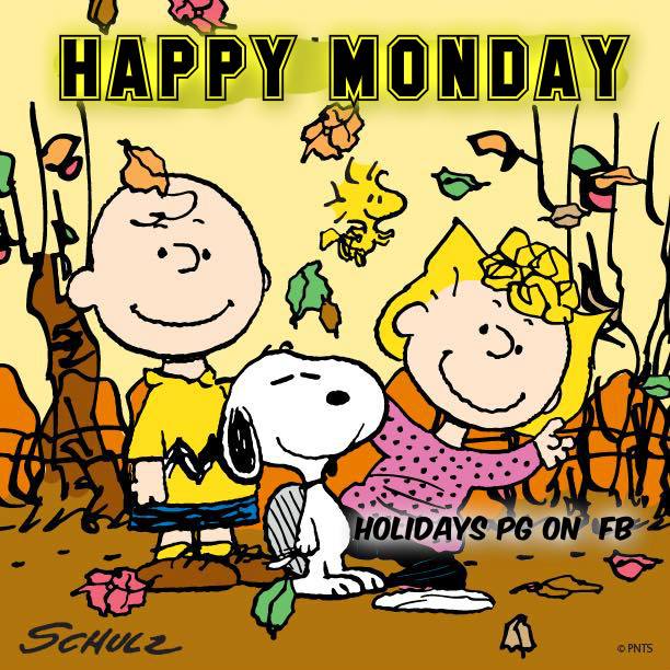 12140590_961768560533071_875290923500241946_n