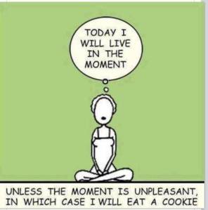 1385786_606215882776684_673808674_n