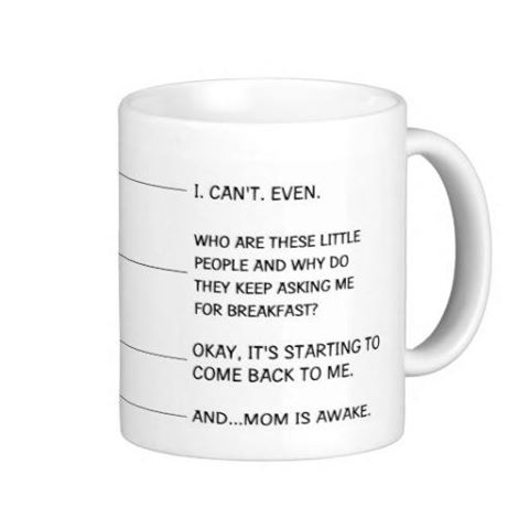 1511062_865168000172211_383934303684785950_n