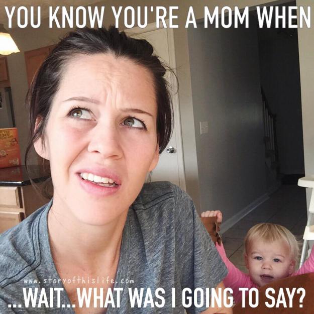 12279042_883664308417727_4364971951424322973_n