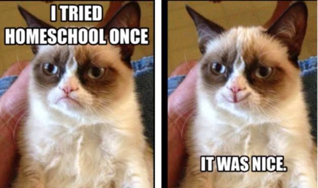 1463297_1052023254840367_4493735215604969796_n