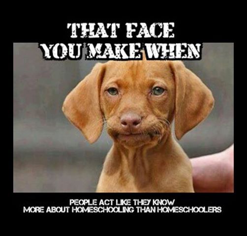 12745589_564705103679433_6767272518581898047_n