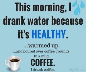 12802831_10156613803745343_4776311264102270322_n