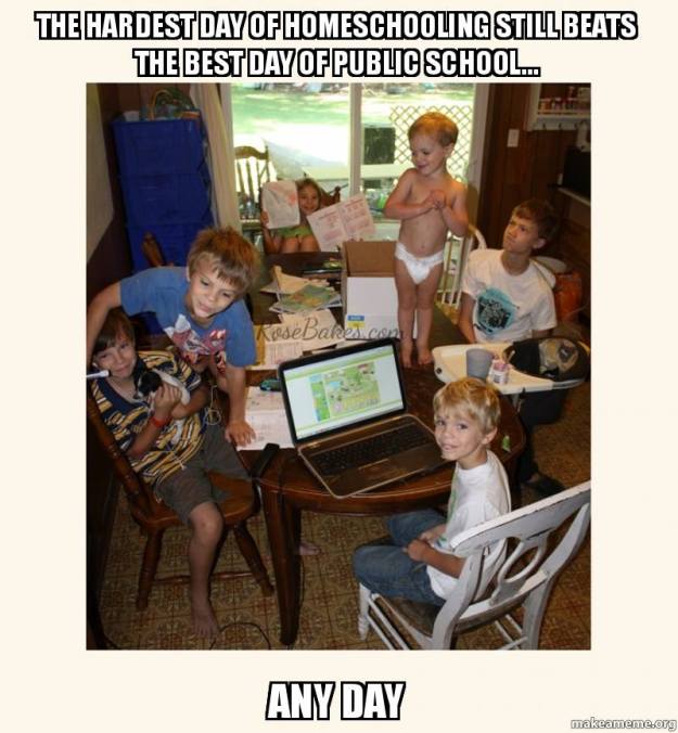 13000162_1141389252580031_4609961495571479247_n