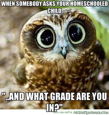 13232928_10153884559659934_7808028781477605516_n