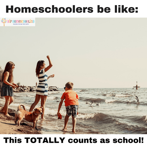 13335995_1011267248972658_4789323909210651320_n