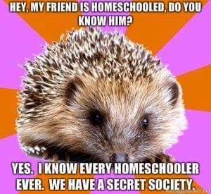 13346411_1153669831342375_415592631236134563_n