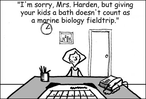 13413739_10208563399776513_166591250627630590_n