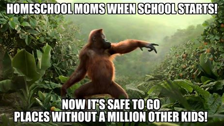 11822484_1113133472047878_7927904907517102251_n