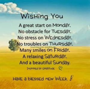 13450886_760962044006570_8394618289530716320_n