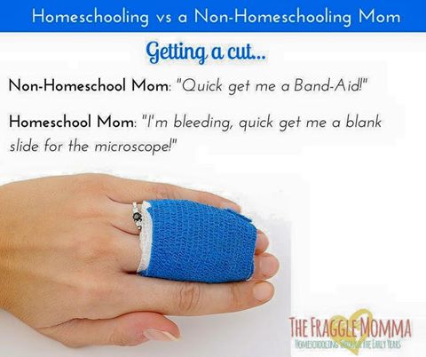 13612227_866654003439970_6775580301111396260_n