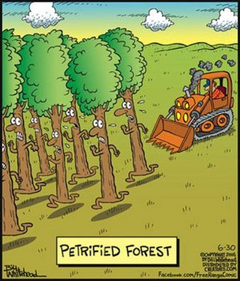 13686494_10153790226163157_7572908433670785969_n