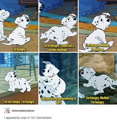 13935093_1355158471164042_6796434116853927928_n