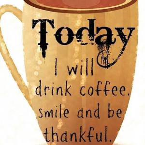 11949376_649065588529550_7897936513045489373_n